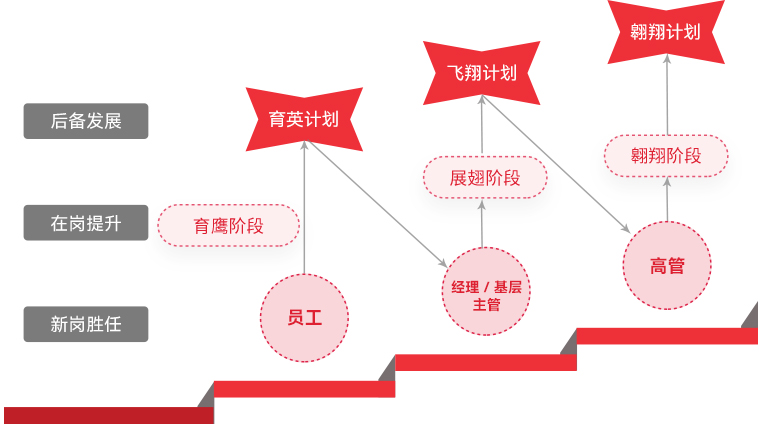今年会 | 官方网站 "雄鹰计划"人才梯队培养